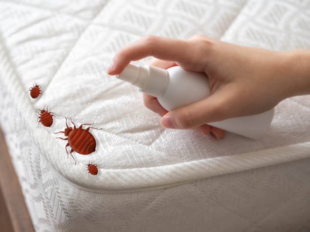Best Residential Pest Control  in Mccord, OK