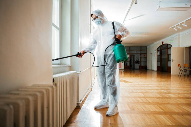 Best Ant Control Services  in Mccord, OK